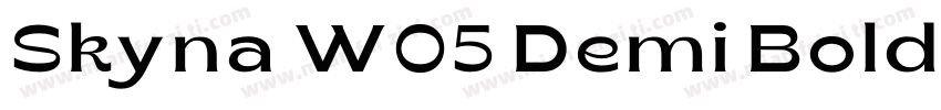 Skyna W05 Demi Bold字体转换